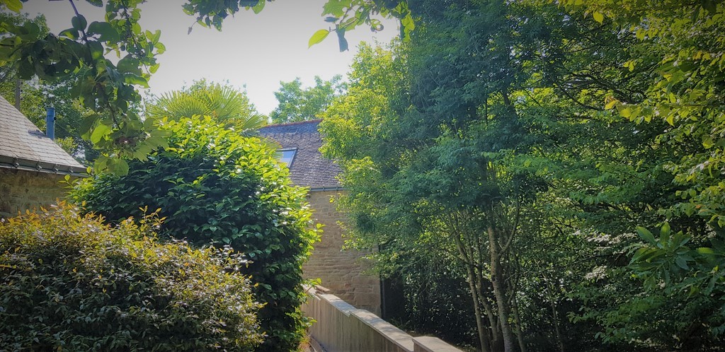 "salle d'attente naturelle"