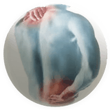 logo troubles musculo-squelettiques TMS